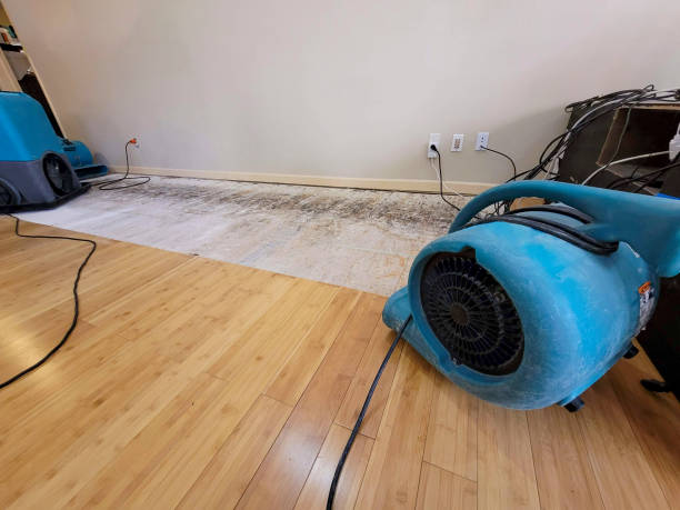 Professional Water Damage Repair technician working in Glenpool, OK